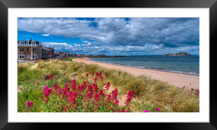Wild flowers and beach at Milsey Bay, North Berwick  Framed Mounted Print by Navin Mistry