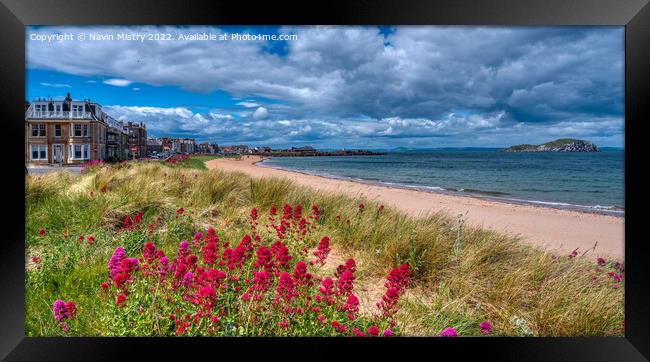 Wild flowers and beach at Milsey Bay, North Berwick  Framed Print by Navin Mistry
