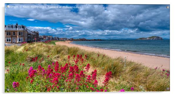 Wild flowers and beach at Milsey Bay, North Berwick  Acrylic by Navin Mistry