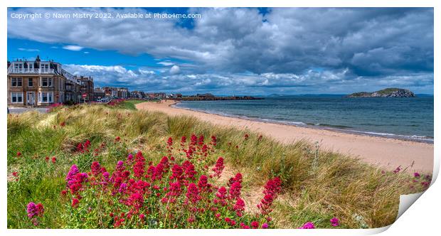 Wild flowers and beach at Milsey Bay, North Berwick  Print by Navin Mistry