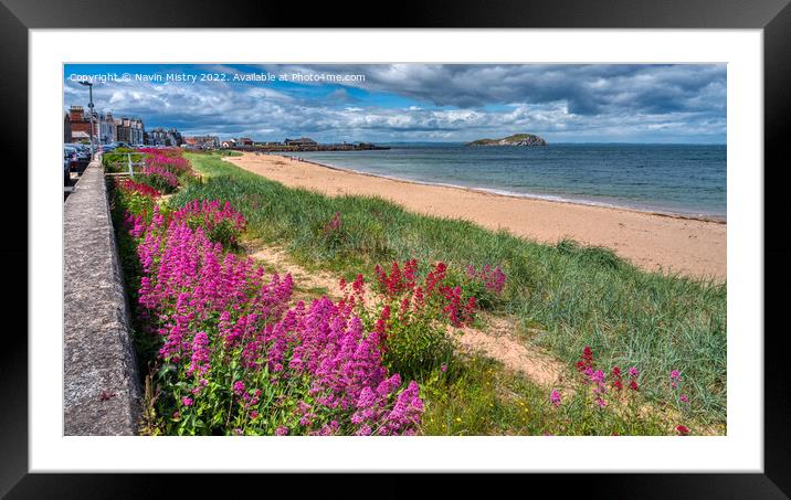 Wild flowers and beach at Milsey Bay, North Berwick Framed Mounted Print by Navin Mistry