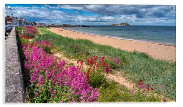 Wild flowers and beach at Milsey Bay, North Berwick Acrylic by Navin Mistry