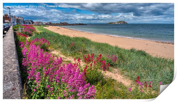 Wild flowers and beach at Milsey Bay, North Berwick Print by Navin Mistry