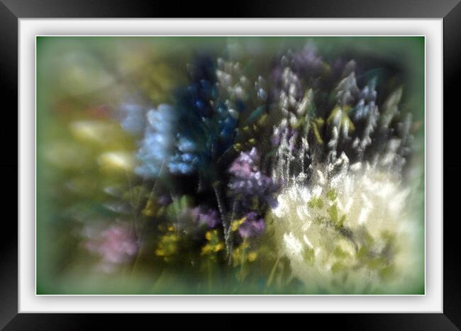 SUMMER BLOOMS Framed Print by Tony Sharp LRPS CPAGB