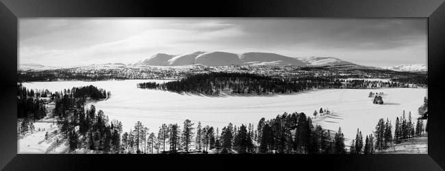 Norwegian alpine forest and frozen lake Majavatnet Norway winter Framed Print by Sonny Ryse