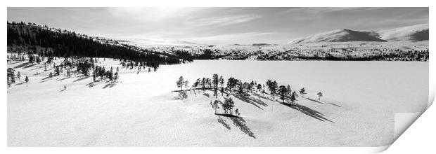 Norwegian alpine forest and frozen lake Majavatnet Norway winter Print by Sonny Ryse