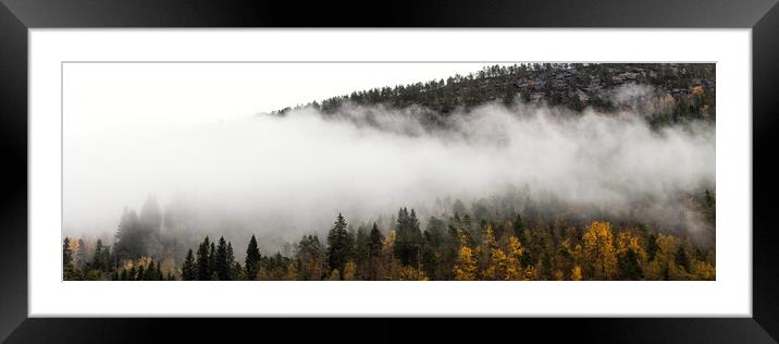 Norwegian forest in the mist Framed Mounted Print by Sonny Ryse