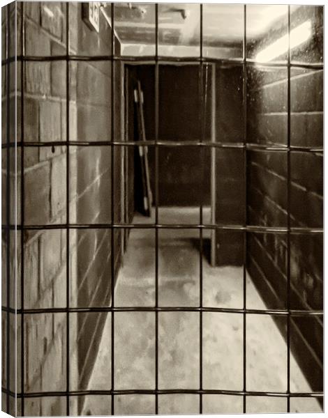 Caged Canvas Print by Glen Allen