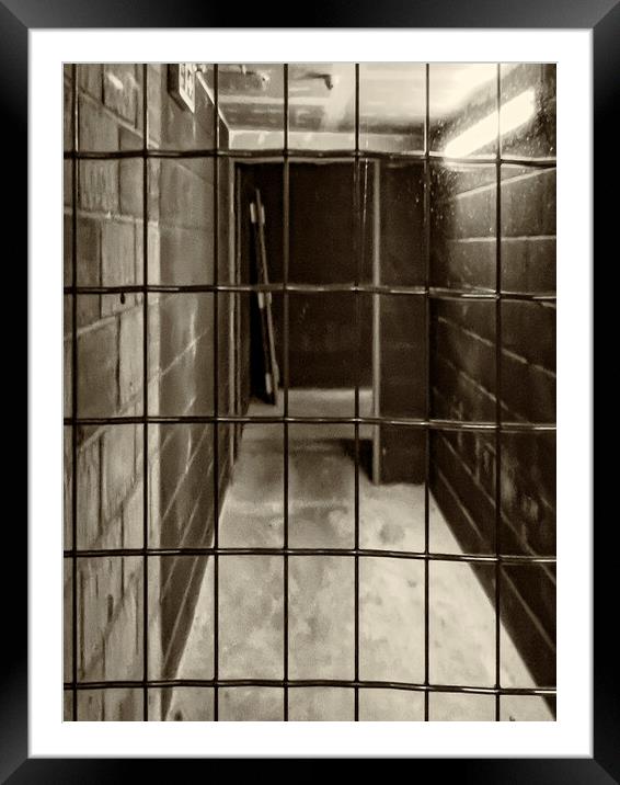 Caged Framed Mounted Print by Glen Allen