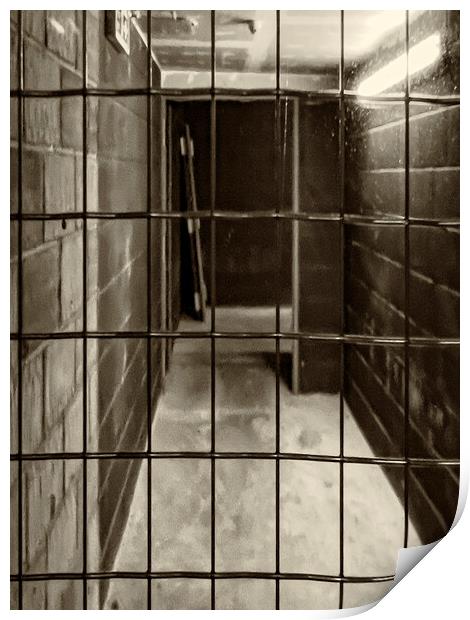 Caged Print by Glen Allen