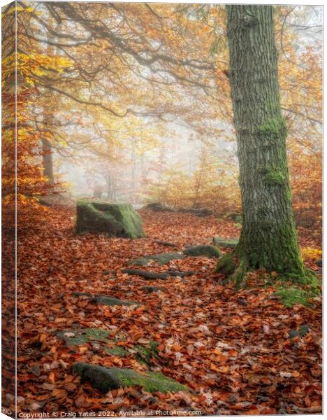 Autumn in Padley Gorge Peak District Derbyshire Canvas Print by Craig Yates