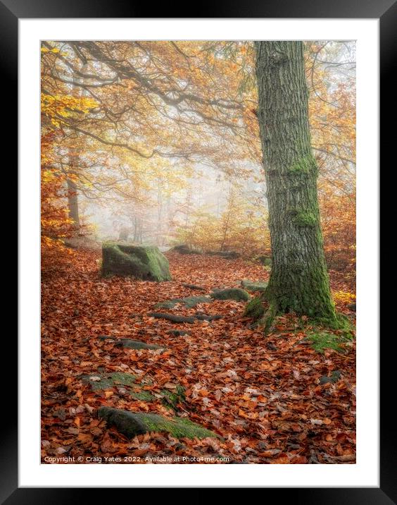 Autumn in Padley Gorge Peak District Derbyshire Framed Mounted Print by Craig Yates