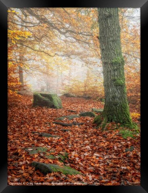 Autumn in Padley Gorge Peak District Derbyshire Framed Print by Craig Yates