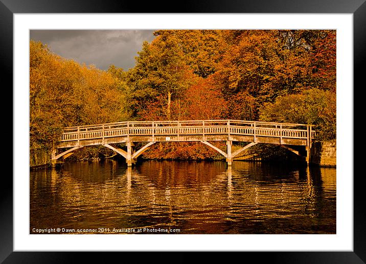 Autumn Colours Framed Mounted Print by Dawn O'Connor