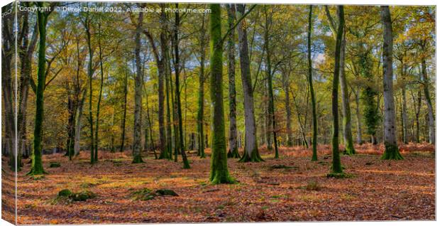 Wonderful Autumn Forest Scene Canvas Print by Derek Daniel