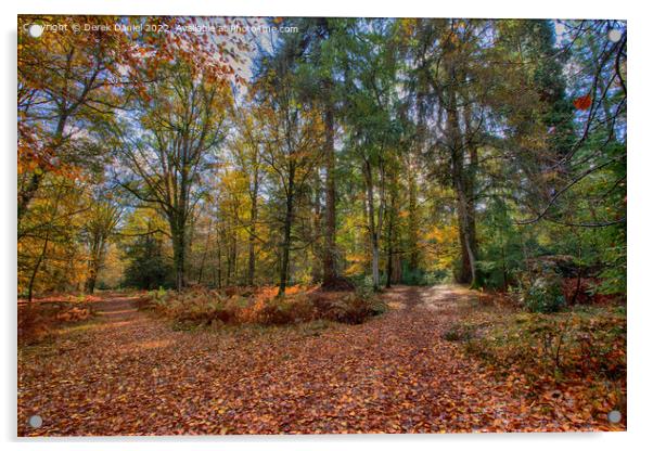 Autumn Forest Scene Acrylic by Derek Daniel