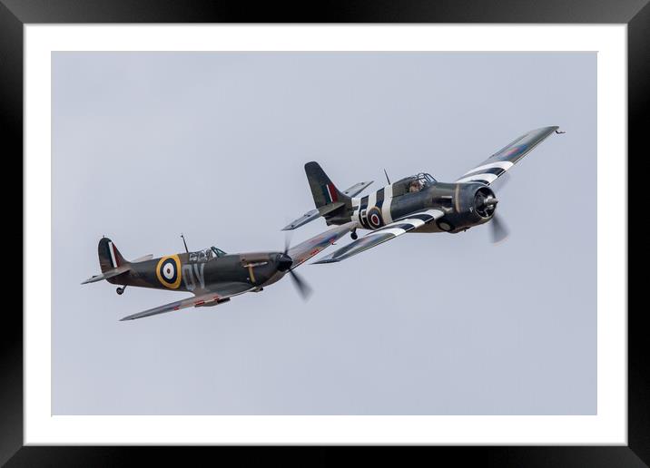 Spitfire and Wildcat Framed Mounted Print by J Biggadike