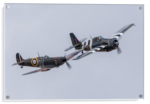 Spitfire and Wildcat Acrylic by J Biggadike