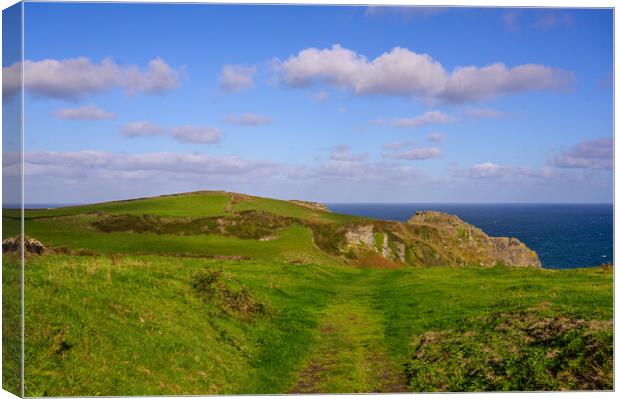 Bossiney Headland in North Cornwall Canvas Print by Tracey Turner