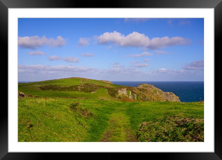 Bossiney Headland in North Cornwall Framed Mounted Print by Tracey Turner