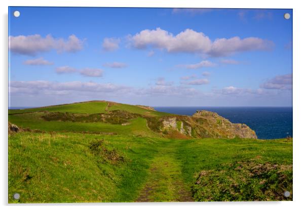 Bossiney Headland in North Cornwall Acrylic by Tracey Turner