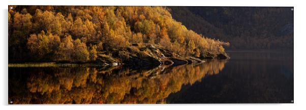 Norwegian Lake in Autumn Acrylic by Sonny Ryse