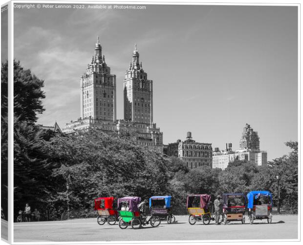 Simply Central Park Canvas Print by Peter Lennon