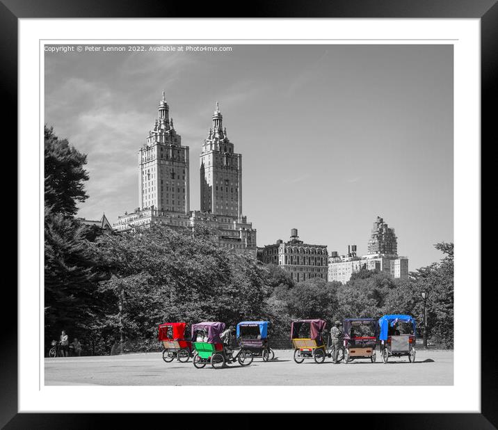 Simply Central Park Framed Mounted Print by Peter Lennon
