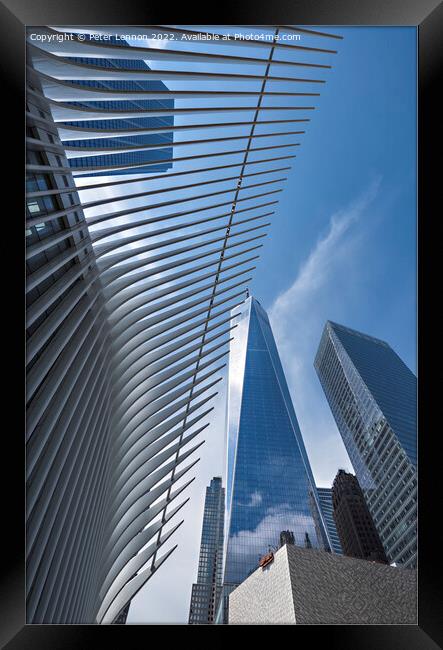 One World Trade Center Framed Print by Peter Lennon