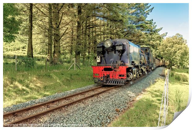 Welsh Highland Railway, Snowdonia, Wales Print by jim Hamilton