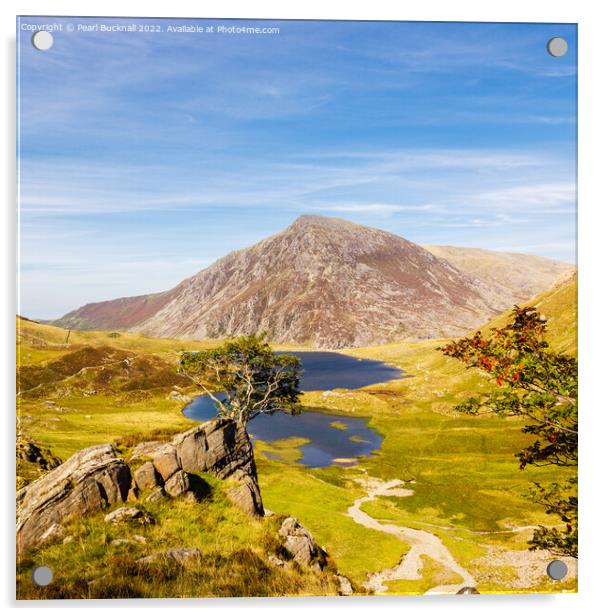 Cwm Idwal landscape in Snowdonia Acrylic by Pearl Bucknall