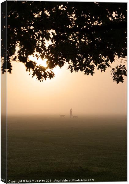 Morning mist dog walker Canvas Print by Adam Jesney