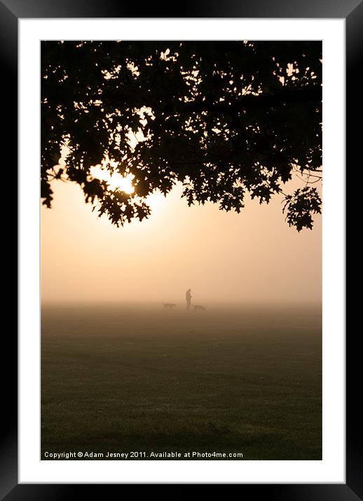 Morning mist dog walker Framed Mounted Print by Adam Jesney
