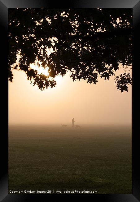 Morning mist dog walker Framed Print by Adam Jesney