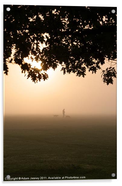 Morning mist dog walker Acrylic by Adam Jesney