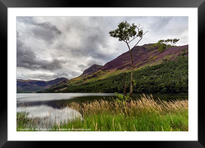 Lone tree on Buttermere Framed Mounted Print by Jim Monk