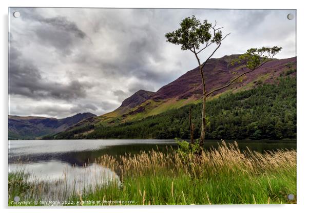 Lone tree on Buttermere Acrylic by Jim Monk