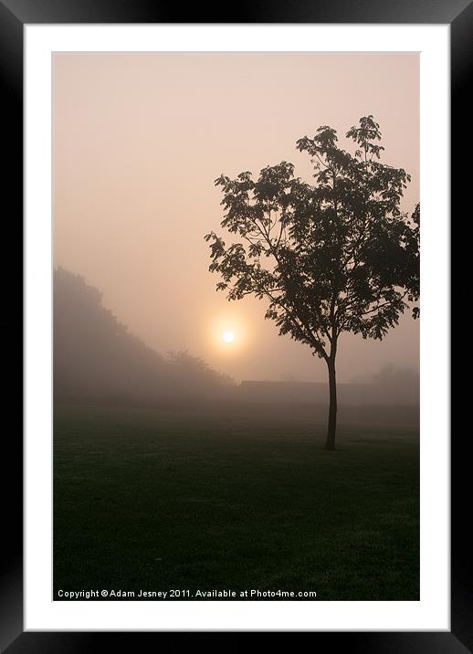 Misty tree Framed Mounted Print by Adam Jesney