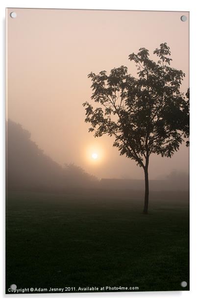 Misty tree Acrylic by Adam Jesney