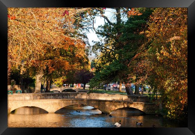 Bourton on the Water Autumn Trees Cotswolds UK Framed Print by Andy Evans Photos