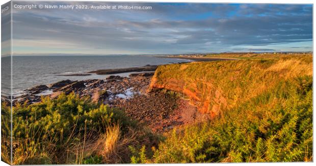 Red sandstone cliffs of Arbroath Canvas Print by Navin Mistry
