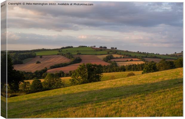 View from Raddon Top Canvas Print by Pete Hemington