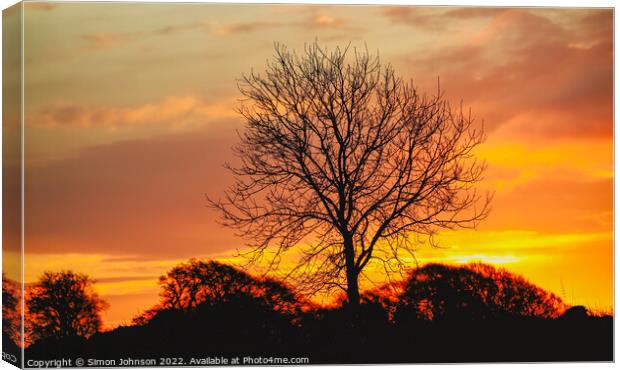 A tree in front of a sunset Canvas Print by Simon Johnson
