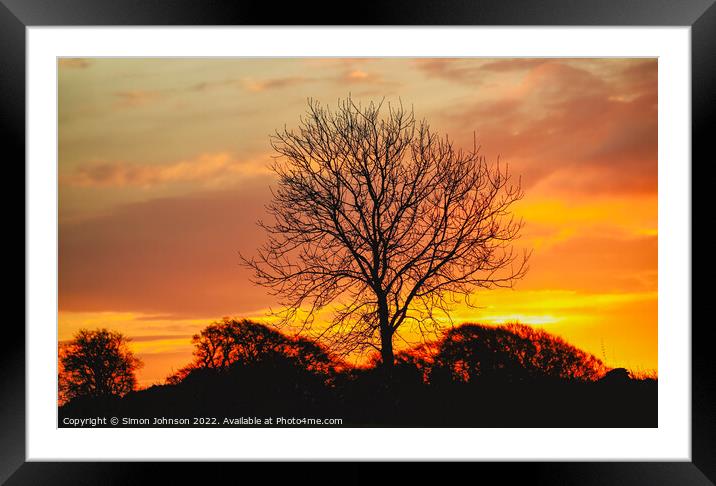 A tree in front of a sunset Framed Mounted Print by Simon Johnson