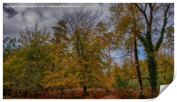 Autumn in the forest Print by Derek Daniel