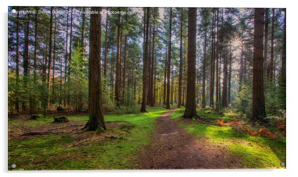 Enchanted Forest Pathway Acrylic by Derek Daniel