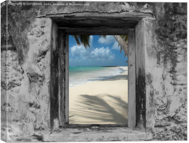 WINDOW ON PARADISE Canvas Print by CATSPAWS 