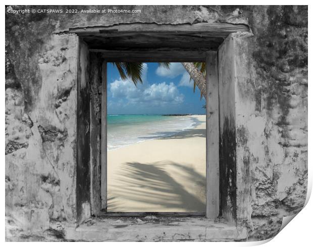 WINDOW ON PARADISE Print by CATSPAWS 