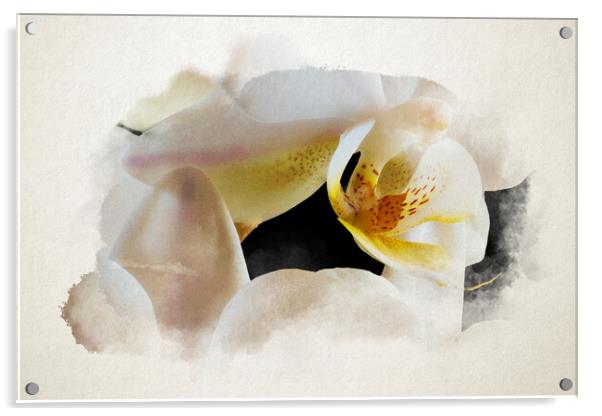 Watercolor of an inside an orchid Acrylic by youri Mahieu