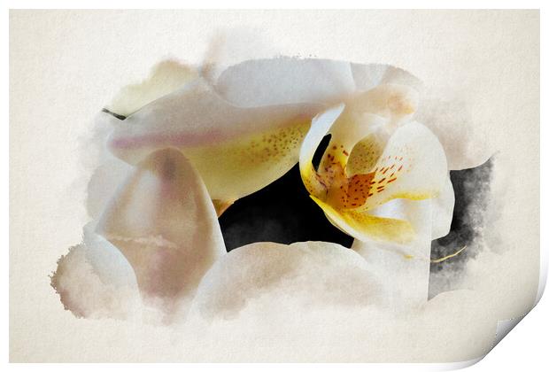Watercolor of an inside an orchid Print by youri Mahieu